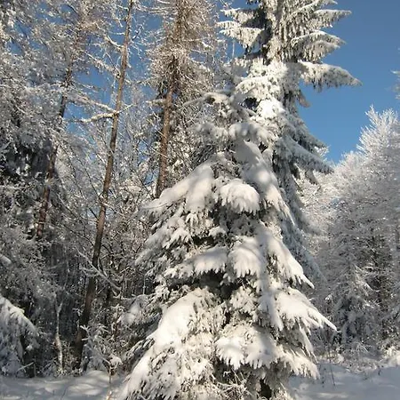 בית נופש Raderhaus מאוטרנדורף
